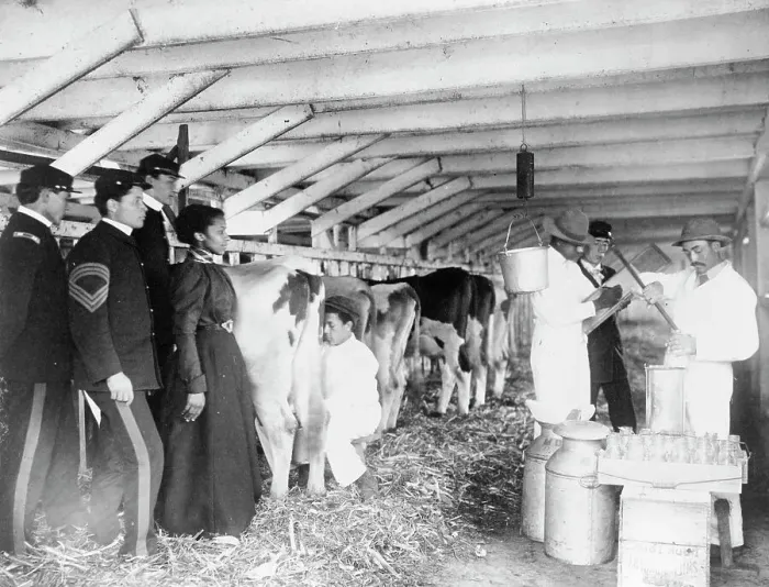 Framed Print : Demonstration of milk testing in stable, at Hampton Institute, Hampton, Virginia, 1899 and 1900. Creator: Frances Benjamin Johnston Framed Print : Demonstration of milk testing in stable, at Hampton Institute, Hampton, Virginia, 1899 and 1900. Creator: Frances Benjamin Johnston