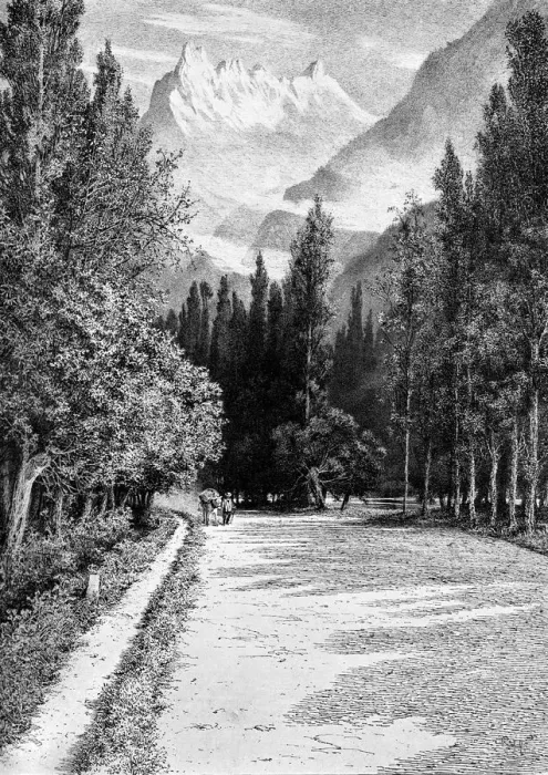 Framed Print : The Dent du Midi from the Valley of the Rhone, 1900 Framed Print : The Dent du Midi from the Valley of the Rhone, 1900