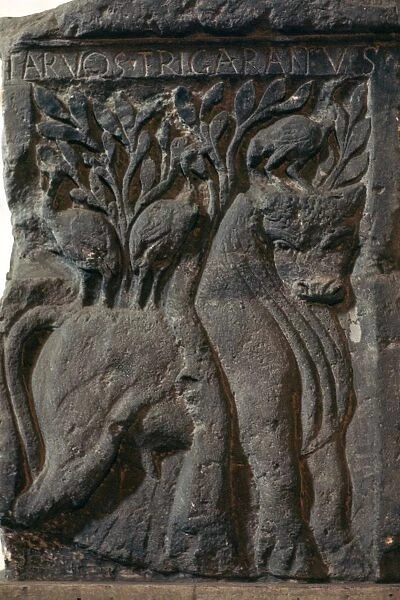 Depiction of a Celtic deity, a bull with three cranes, 1st century