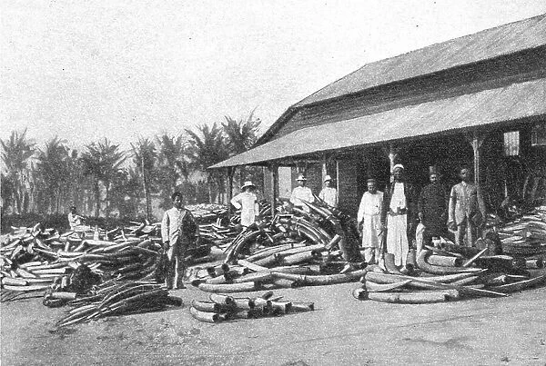 Un depot d'ivoire dans lAfrique orientale allemande; Afrique Australe, 1914. Creator: Unknown