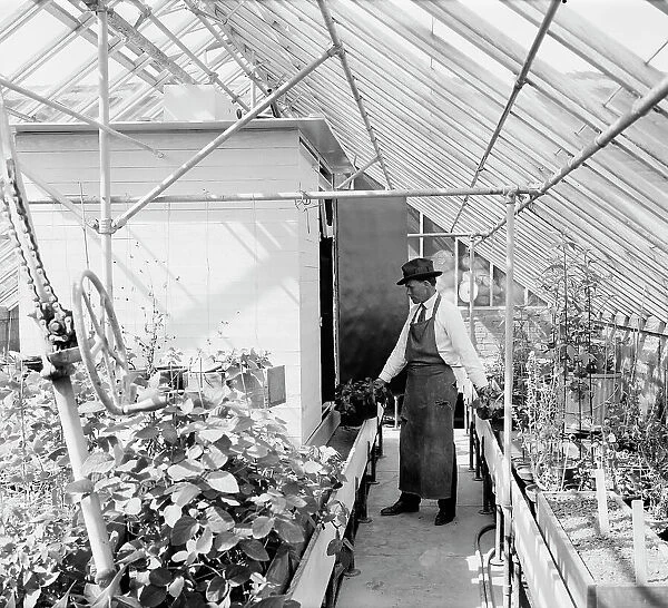 Dept. of Agriculture, between 1910 and 1920. Creator: Harris & Ewing. Dept. of Agriculture, between 1910 and 1920. Creator: Harris & Ewing