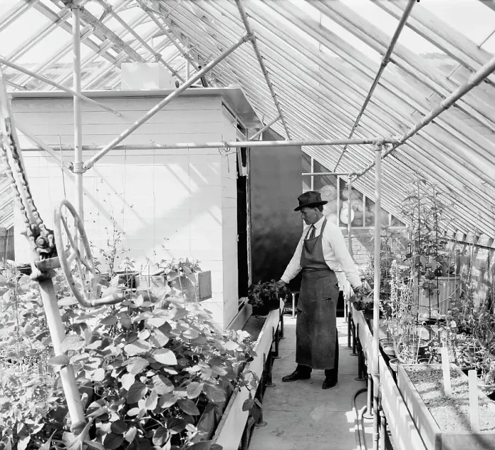Framed Print : Dept. of Agriculture, between 1910 and 1920. Creator: Harris & Ewing. Dept. of Agriculture, between 1910 and 1920. Creator: Harris & Ewing Framed Print : Dept. of Agriculture, between 1910 and 1920. Creator: Harris & Ewing. Dept. of Agriculture, between 1910 and 1920. Creator: Harris & Ewing