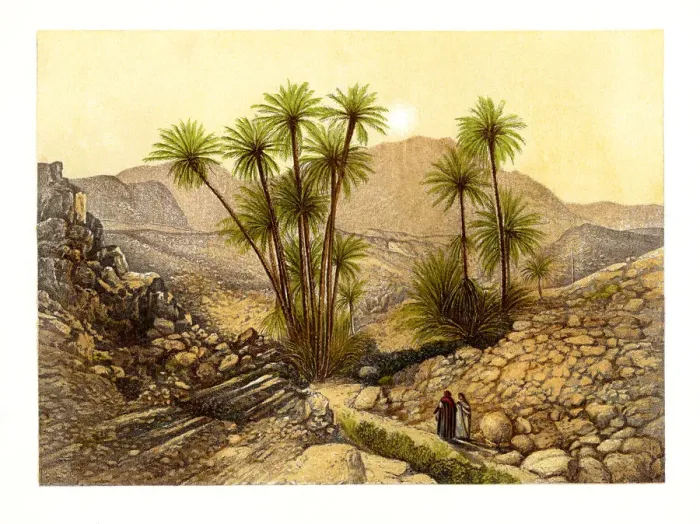 Framed Print : The Desert of Sinai, Egypt, c1870. Artist: W Dickens Framed Print : The Desert of Sinai, Egypt, c1870. Artist: W Dickens