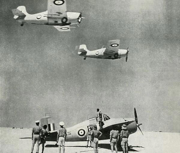Desert Squadron - planes of the Fleet Air Arm during the Second World War, c1943