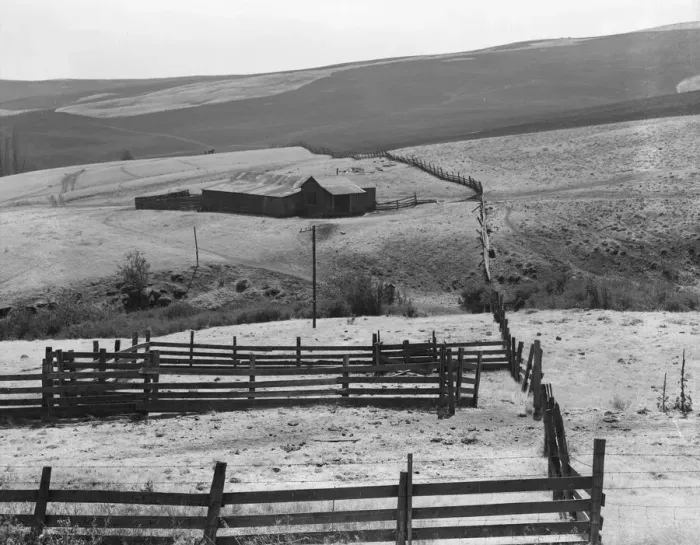 Framed Print : Desert stock farm, south central Washington, in region where much land has been overgrazed, 1939. Creator: Dorothea Lange Framed Print : Desert stock farm, south central Washington, in region where much land has been overgrazed, 1939. Creator: Dorothea Lange
