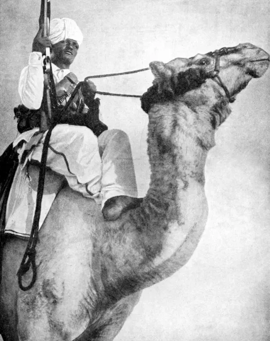 Framed Print : Desert warrior of Africa, 1936. Artist: Fox Photos Framed Print : Desert warrior of Africa, 1936. Artist: Fox Photos