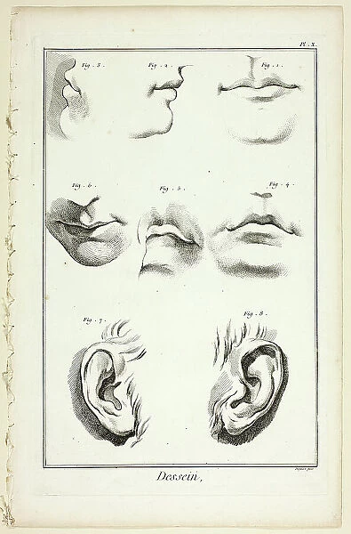 Design: Facial Anatomy from Encyclopédie, 1762 / 77. Creator: A. J. Defehrt