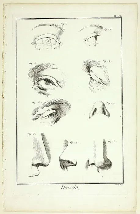 Framed Print : Design: Facial Anatomy from Encyclopédie, 1762 / 77. Creator: Benoit-Louis Prevost Framed Print : Design: Facial Anatomy from Encyclopédie, 1762 / 77. Creator: Benoit-Louis Prevost