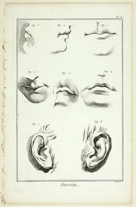 Framed Print : Design: Facial Anatomy from Encyclopédie, 1762 / 77. Creator: A. J. Defehrt Framed Print : Design: Facial Anatomy from Encyclopédie, 1762 / 77. Creator: A. J. Defehrt