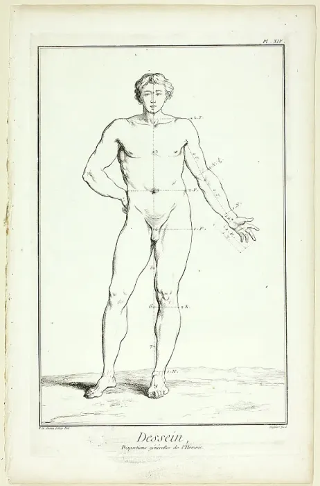 Framed Print : Design: General Proportions of the Male, from Encyclopédie, 1762 / 77. Creator: A. J. Defehrt Framed Print : Design: General Proportions of the Male, from Encyclopédie, 1762 / 77. Creator: A. J. Defehrt