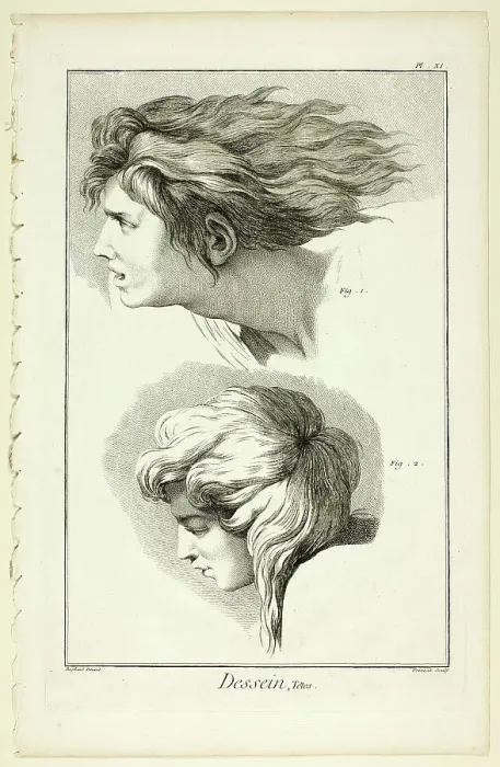 Framed Print : Design: Heads, from Encyclopédie, 1762 / 77. Creator: Benoit-Louis Prevost Framed Print : Design: Heads, from Encyclopédie, 1762 / 77. Creator: Benoit-Louis Prevost