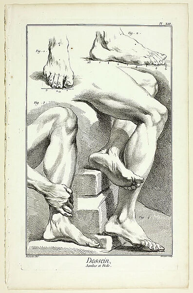 Design: Legs and Feet, from Encyclopédie, 1762 / 77. Creator: Benoit-Louis Prevost