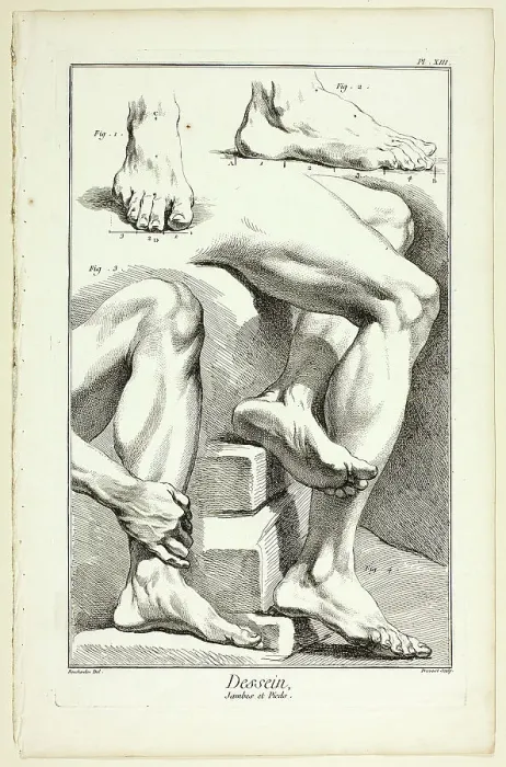 Framed Print : Design: Legs and Feet, from Encyclopédie, 1762 / 77. Creator: Benoit-Louis Prevost Framed Print : Design: Legs and Feet, from Encyclopédie, 1762 / 77. Creator: Benoit-Louis Prevost