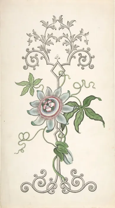 Framed Print : Design for Panel Decoration Centered on a Passion Flower, 1828-40. Creator: J Hulme Framed Print : Design for Panel Decoration Centered on a Passion Flower, 1828-40. Creator: J Hulme