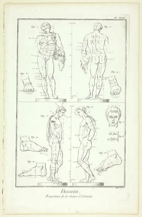 Framed Print : Design: Proportions of the Antinoüs Statue, from Encyclopédie, 1762 / 77. Creator: A. J. Defehrt Framed Print : Design: Proportions of the Antinoüs Statue, from Encyclopédie, 1762 / 77. Creator: A. J. Defehrt
