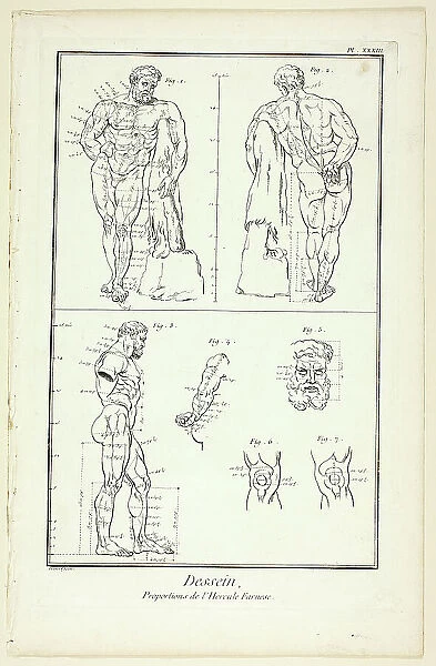 Design: Proportions of the Farnese Hercules, from Encyclopédie, 1762 / 77. Creator: Benoit-Louis Prevost