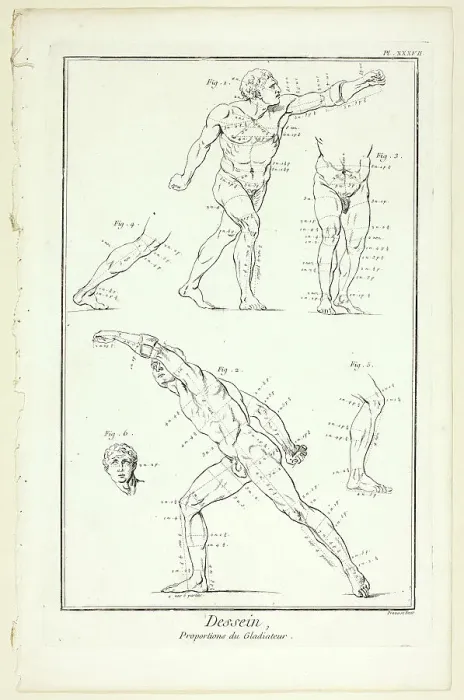 Framed Print : Design: Proportions of the Gladiator, from Encyclopédie, 1762 / 77. Creator: Benoit-Louis Prevost Framed Print : Design: Proportions of the Gladiator, from Encyclopédie, 1762 / 77. Creator: Benoit-Louis Prevost