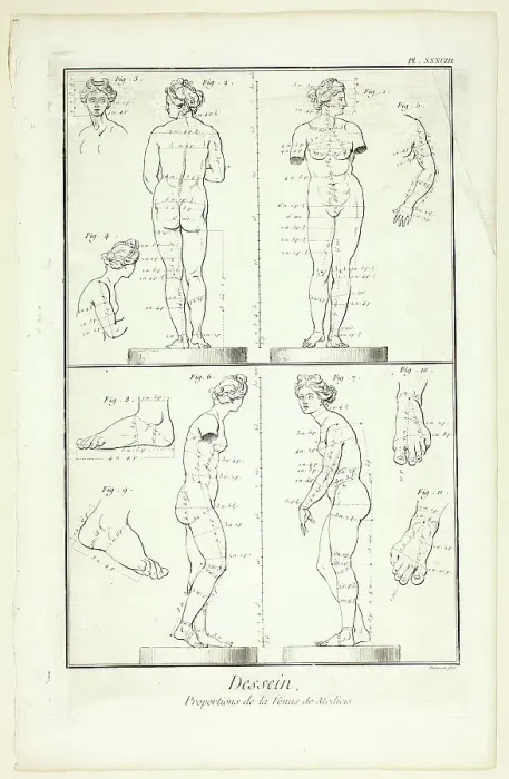 Framed Print : Design: Proportions of the Medici Venus, from Encyclopédie, 1762 / 77. Creator: Benoit-Louis Prevost