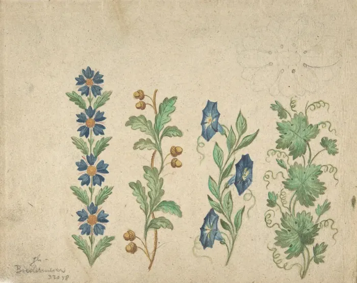 Framed Print : Designs for Embroidery, 19th century. Creator: Anon Framed Print : Designs for Embroidery, 19th century. Creator: Anon