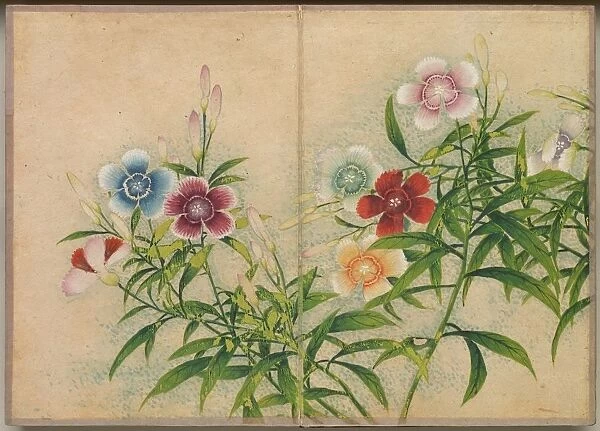 Desk Album: Flower and Bird Paintings (Pinks), 18th Century. Creator: Zhang Ruoai (Chinese)