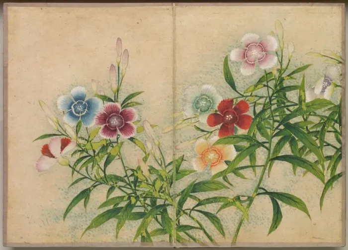 Framed Print : Desk Album: Flower and Bird Paintings (Pinks), 18th Century. Creator: Zhang Ruoai (Chinese) Framed Print : Desk Album: Flower and Bird Paintings (Pinks), 18th Century. Creator: Zhang Ruoai (Chinese)