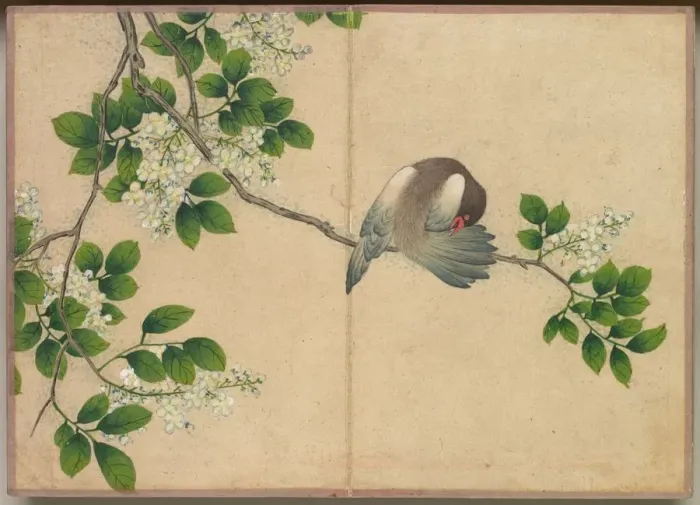 Framed Print : Desk Album: Flower and Bird Paintings (Preening Bird), 18th Century. Creator: Zhang Ruoai Framed Print : Desk Album: Flower and Bird Paintings (Preening Bird), 18th Century. Creator: Zhang Ruoai