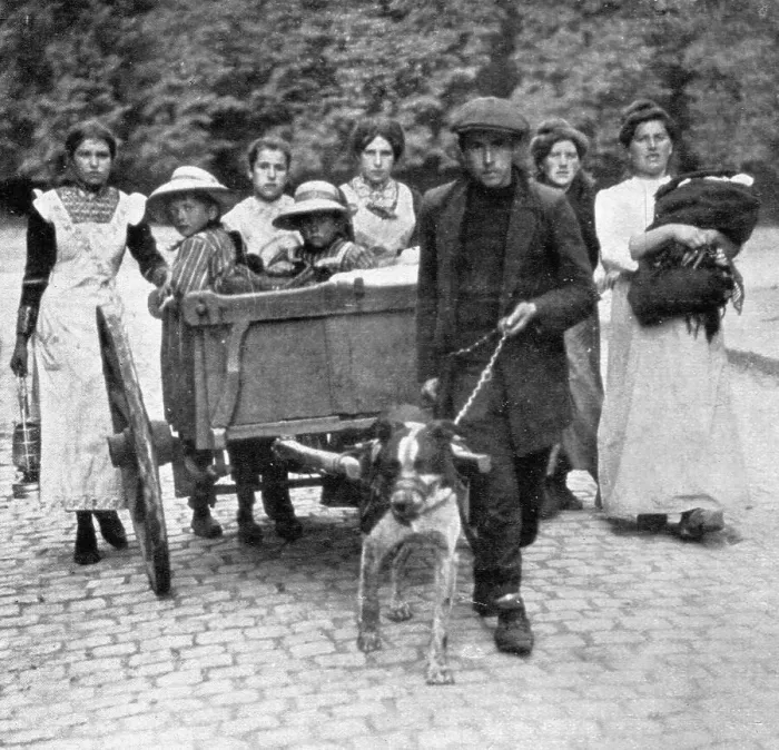 Framed Print : Devant l'envahisseur; Beaucoup, qui ne possedent qu'un chien comme bete de trait, 1914. Creator: Unknown Framed Print : Devant l'envahisseur; Beaucoup, qui ne possedent qu'un chien comme bete de trait, 1914. Creator: Unknown