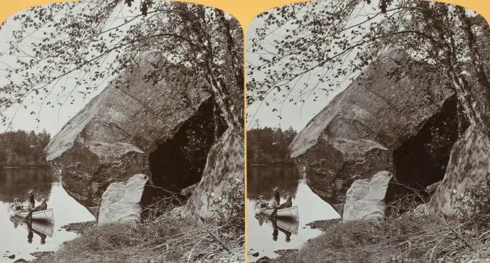 Framed Print : Devils Foot Ball near the Deep Fill, 1903. Creator: Henry Hamilton Bennett Framed Print : Devils Foot Ball near the Deep Fill, 1903. Creator: Henry Hamilton Bennett