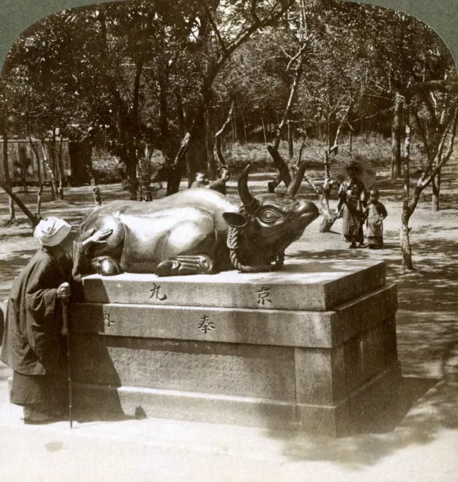 Framed Print : Devout woman stroking a bronze bull to cure rheumatism, Kitano Tenjin temple, Kyoto, Japan, 1904. Artist: Underwood & Underwood