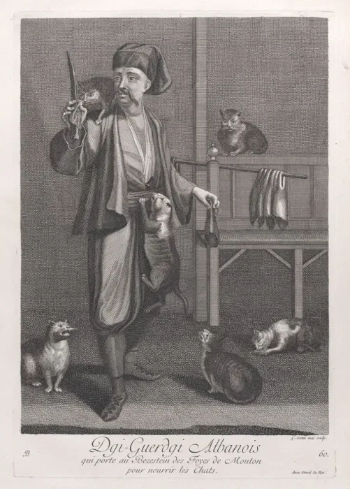 Framed Print : Dgi-Guerdgi Albanois, qui porte au Bezestein des Foyes de Mouton pour nourrir les Chats