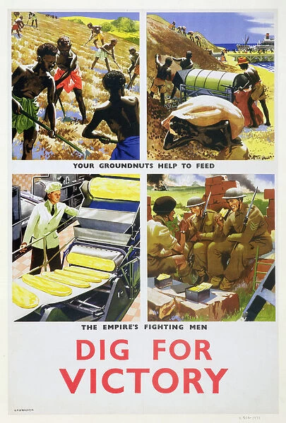 Dig for Victory, propaganda poster for Britains African colonies, c1940. Artist