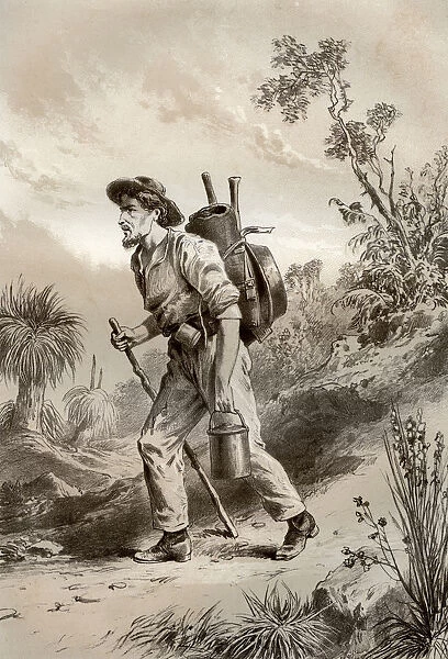Digger on the tramp, Australia, 1879. Artist: McFarlane and Erskine