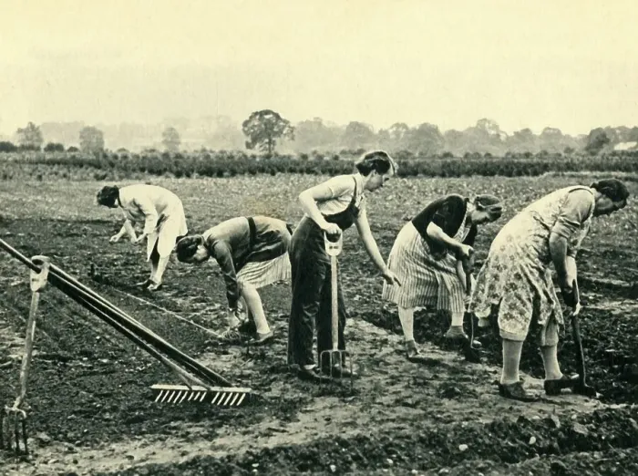 Framed Print : Digging and Planting, 1943. Creator: Unknown Framed Print : Digging and Planting, 1943. Creator: Unknown