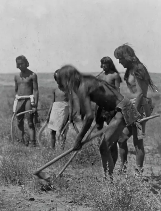 Framed Print : Digging out the snakes-Hopi, c1907. Creator: Edward Sheriff Curtis Framed Print : Digging out the snakes-Hopi, c1907. Creator: Edward Sheriff Curtis