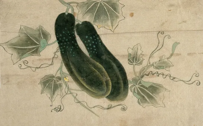 Framed Print : Two dill cucumbers, (unknown date). Creator: Unknown Framed Print : Two dill cucumbers, (unknown date). Creator: Unknown