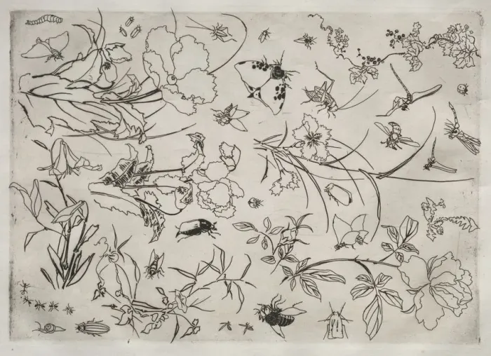 Framed Print : Dinner Service (Rousseau service): Flowers and Insects (no Framed Print : Dinner Service (Rousseau service): Flowers and Insects (no