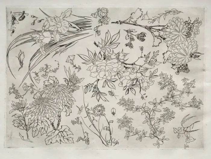 Framed Print : Dinner Service (Rousseau service): Flowers (no. 23), 1866. Creator: Felix Bracquemond (French Framed Print : Dinner Service (Rousseau service): Flowers (no. 23), 1866. Creator: Felix Bracquemond (French