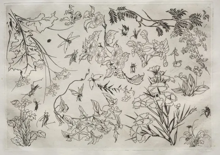 Framed Print : Dinner Service (Rousseau service): Flowers (no. 22), 1866. Creator: Felix Bracquemond (French Framed Print : Dinner Service (Rousseau service): Flowers (no. 22), 1866. Creator: Felix Bracquemond (French