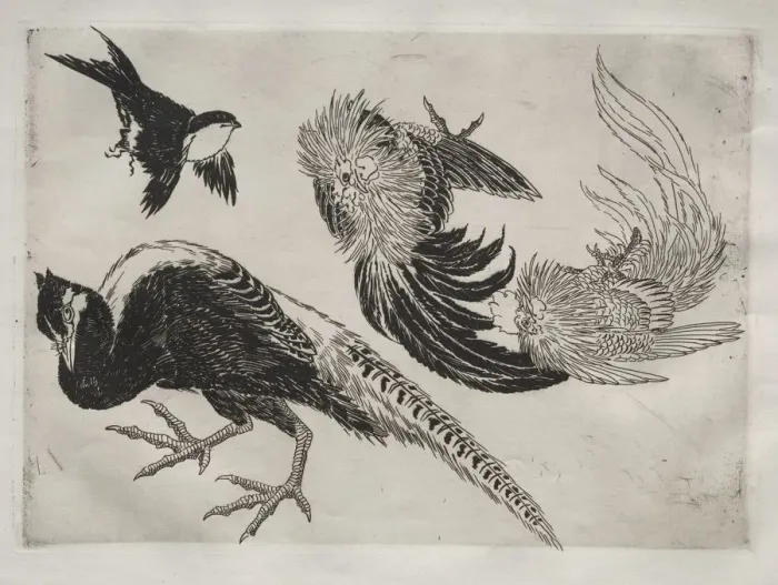 Framed Print : Dinner Service (Rousseau service): Pheasants and bird (no