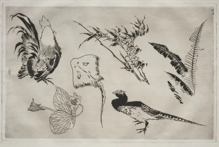 Framed Print : Dinner Service (Rousseau service): Roosters, skate, plants, etc. (no. 9), 1866. Creator Framed Print : Dinner Service (Rousseau service): Roosters, skate, plants, etc. (no. 9), 1866. Creator