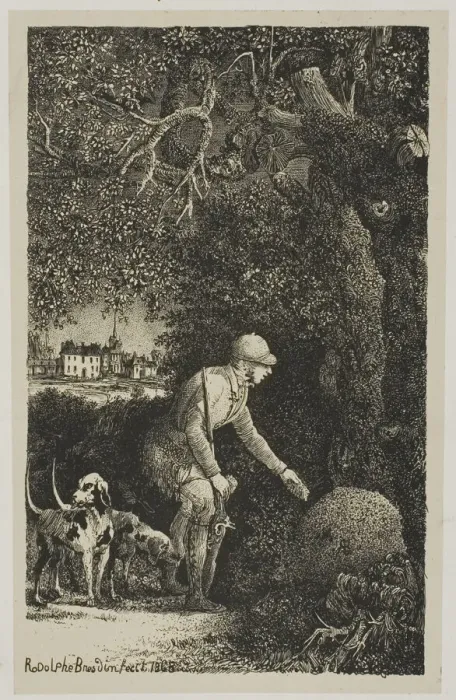 Framed Print : The Diplomat and the Anthill, Illustration for Fables and Tales by Hippolyte de Framed Print : The Diplomat and the Anthill, Illustration for Fables and Tales by Hippolyte de