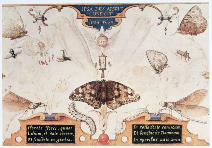 Framed Print : Diptych with flowers and insects, 1591. Artist: Joris Hoefnagel Framed Print : Diptych with flowers and insects, 1591. Artist: Joris Hoefnagel