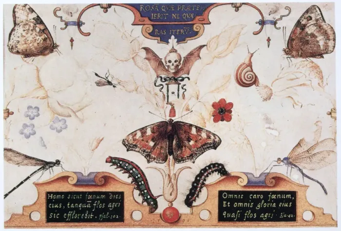 Framed Print : Diptych with flowers and insects, 1591. Artist: Joris Hoefnagel Framed Print : Diptych with flowers and insects, 1591. Artist: Joris Hoefnagel
