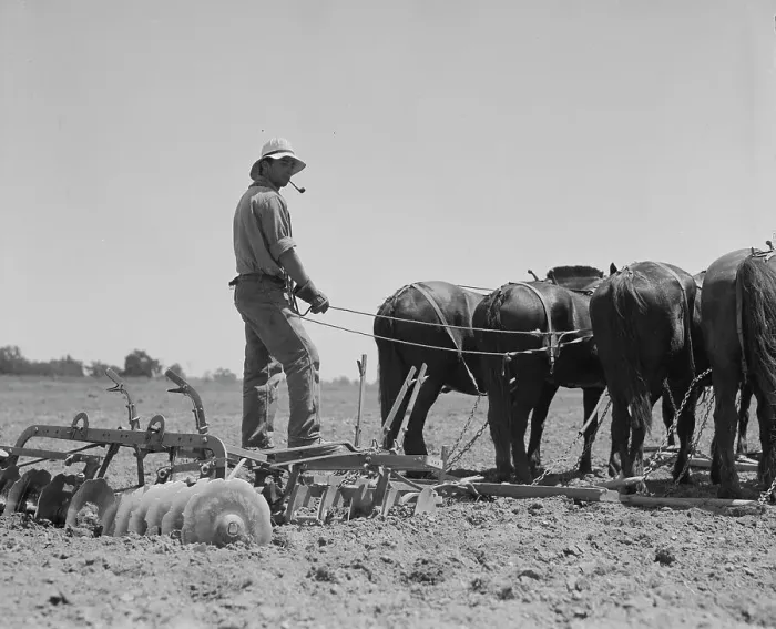 Framed Print : Disc drawn by seven horses used in the cornfields of California, Tulare County, California, 1937. Creator: Dorothea Lange Framed Print : Disc drawn by seven horses used in the cornfields of California, Tulare County, California, 1937. Creator: Dorothea Lange