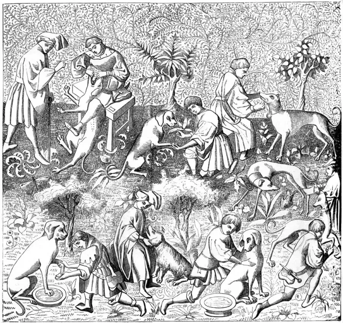 Framed Print : Diseases of dogs and their cures, 14th century (1849) Framed Print : Diseases of dogs and their cures, 14th century (1849)