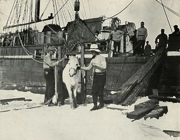Disembarking the Ponies, c1910–1913, (1913). Artist: Herbert Ponting