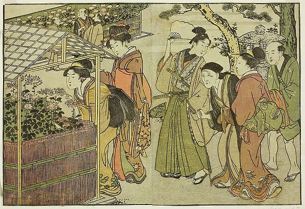 Display of Chrysanthemums, from the illustrated book 'Picture Book: Flowers of... New Year, 1801. Creator: Kitagawa Utamaro. Display of Chrysanthemums, from the illustrated book 'Picture Book: Flowers of... New Year, 1801