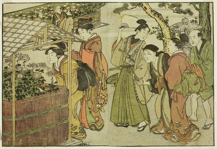 Framed Print : Display of Chrysanthemums, from the illustrated book Picture Book: Flowers of... New Year, 1801. Creator: Kitagawa Utamaro. Display of Chrysanthemums, from the illustrated book Picture Book: Flowers of... New Year, 1801 Framed Print : Display of Chrysanthemums, from the illustrated book Picture Book: Flowers of... New Year, 1801. Creator: Kitagawa Utamaro. Display of Chrysanthemums, from the illustrated book Picture Book: Flowers of... New Year, 1801