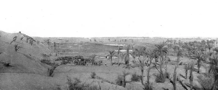Framed Print : Distant Fronts, In Palestine; Camp in an oasis in the Sinai desert, 1917. Creator: Unknown Framed Print : Distant Fronts, In Palestine; Camp in an oasis in the Sinai desert, 1917. Creator: Unknown