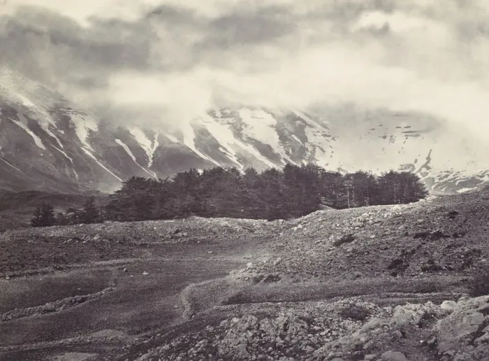 Framed Print : Distant View of the Cedars of Lebanon, ca. 1857. Creator: Francis Frith Framed Print : Distant View of the Cedars of Lebanon, ca. 1857. Creator: Francis Frith